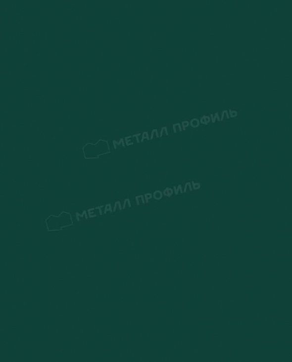 Планка торцевая МЕТАЛЛ ПРОФИЛЬ RAL6005 - 3