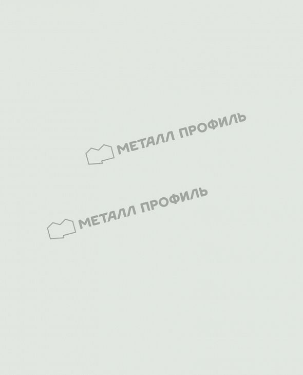 Профнастил МЕТАЛЛ ПРОФИЛЬ МП-20 RAL9003  - 3